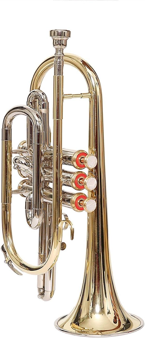 Shreyas Cornet Nickel + Brass Bb 3 valve