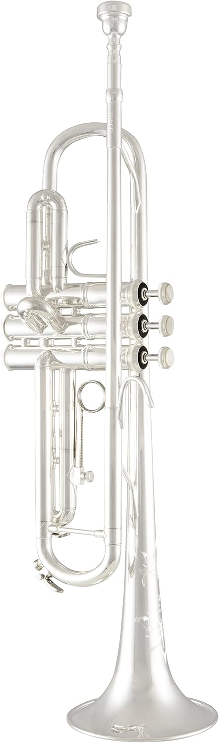 Bach Trombone, Silver (TR200S)