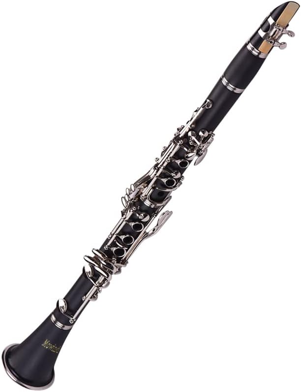 Bb Flat Clarinet - 17 Key Beginner Student Woodwind Instrument with 2 Barrels and Carry Case, Includes Cleaning Kit
