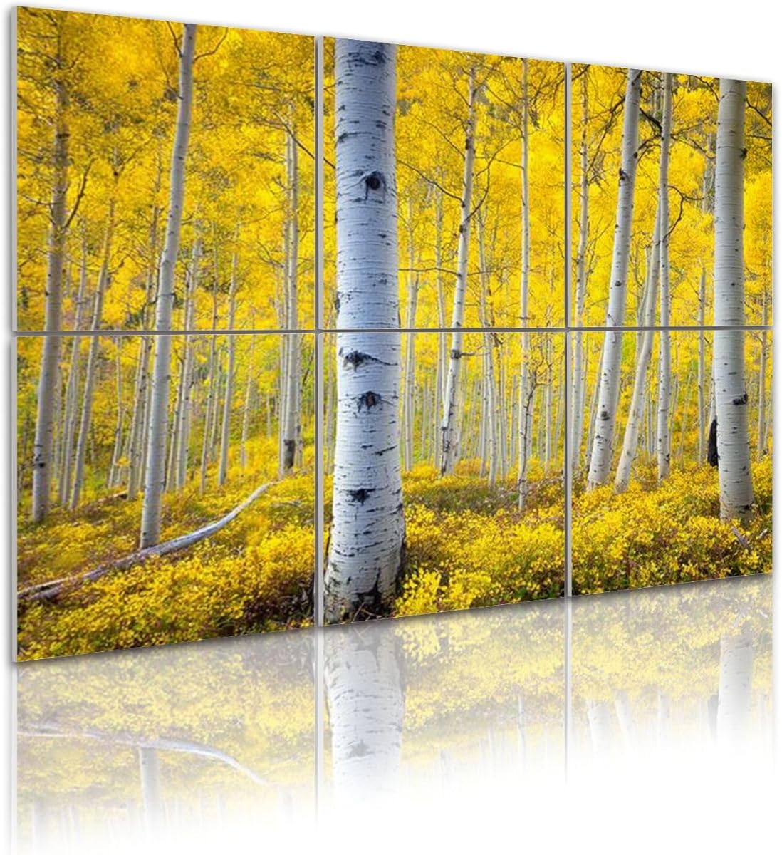 6 Pack Art Acoustic Panels Self Adhesive autumn aspen forest rocky mountainscolorado fall forest 48