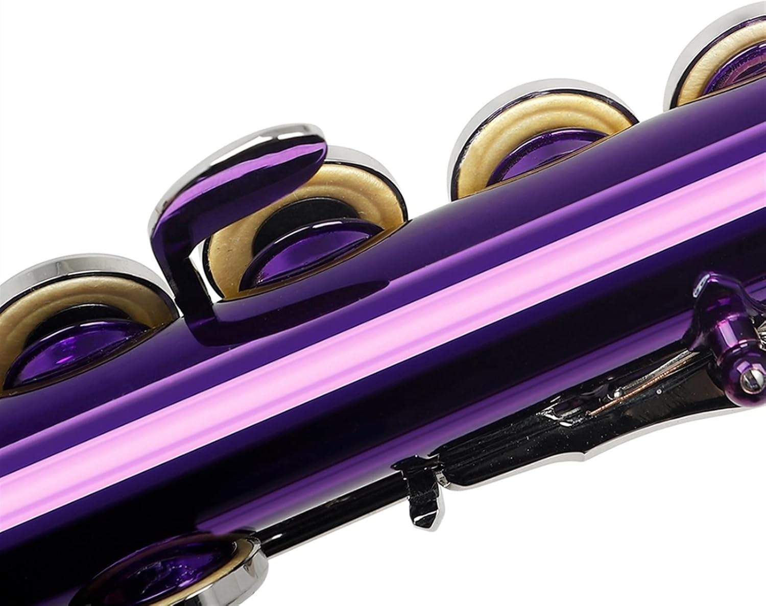 TSTS Flutes Musical Instrument Flute Nickel Plated 16 Holes C Key Cupronickel Purple Flute Woodwind Instrument with Case Cleaning Cloth