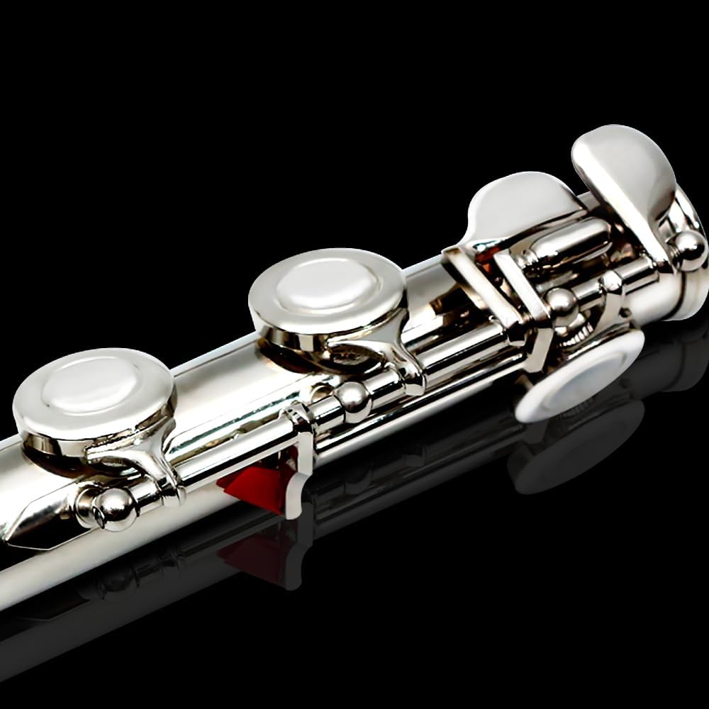 16 Key Closed Hole C Flute - Student Flute for Beginners,Easy to Play with Durable Design, Includes Carrying Case, Cleaning Kit, Gloves, Perfect for Learning(Silver)