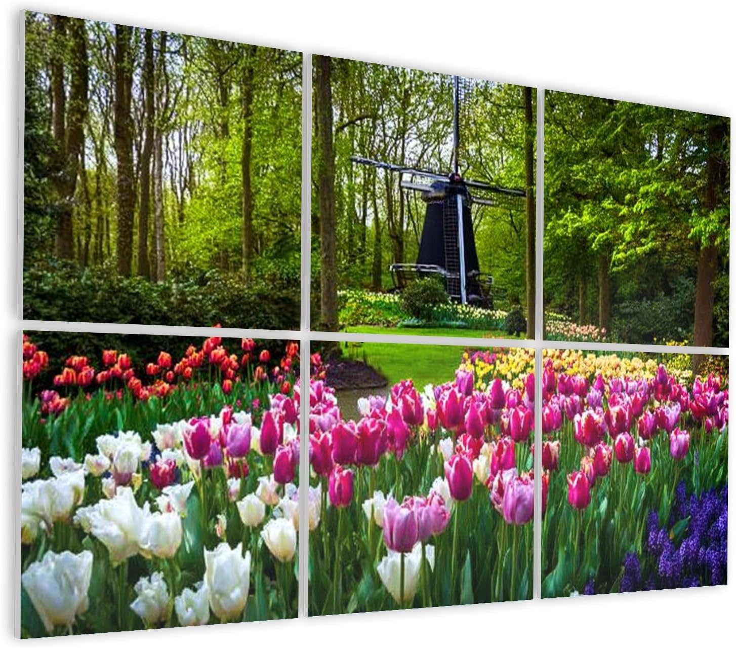 6 Pack Art Acoustic Panels Self Adhesive Dutch windmill colorful fresh tulips Keukenhof park Netherlands Decorative Soundproof Wall Panels Sound Absorbing Panel 48
