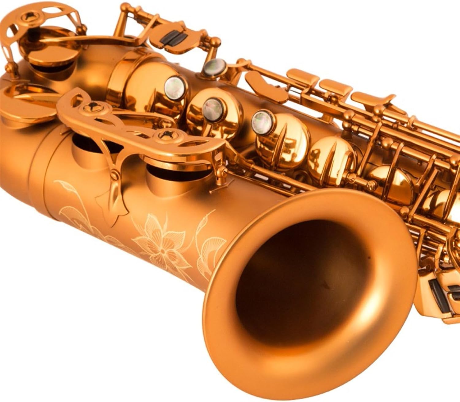 E Flat Alto Saxophone Woodwind Instrument Professional Beginners Grade Examination Matt Gold