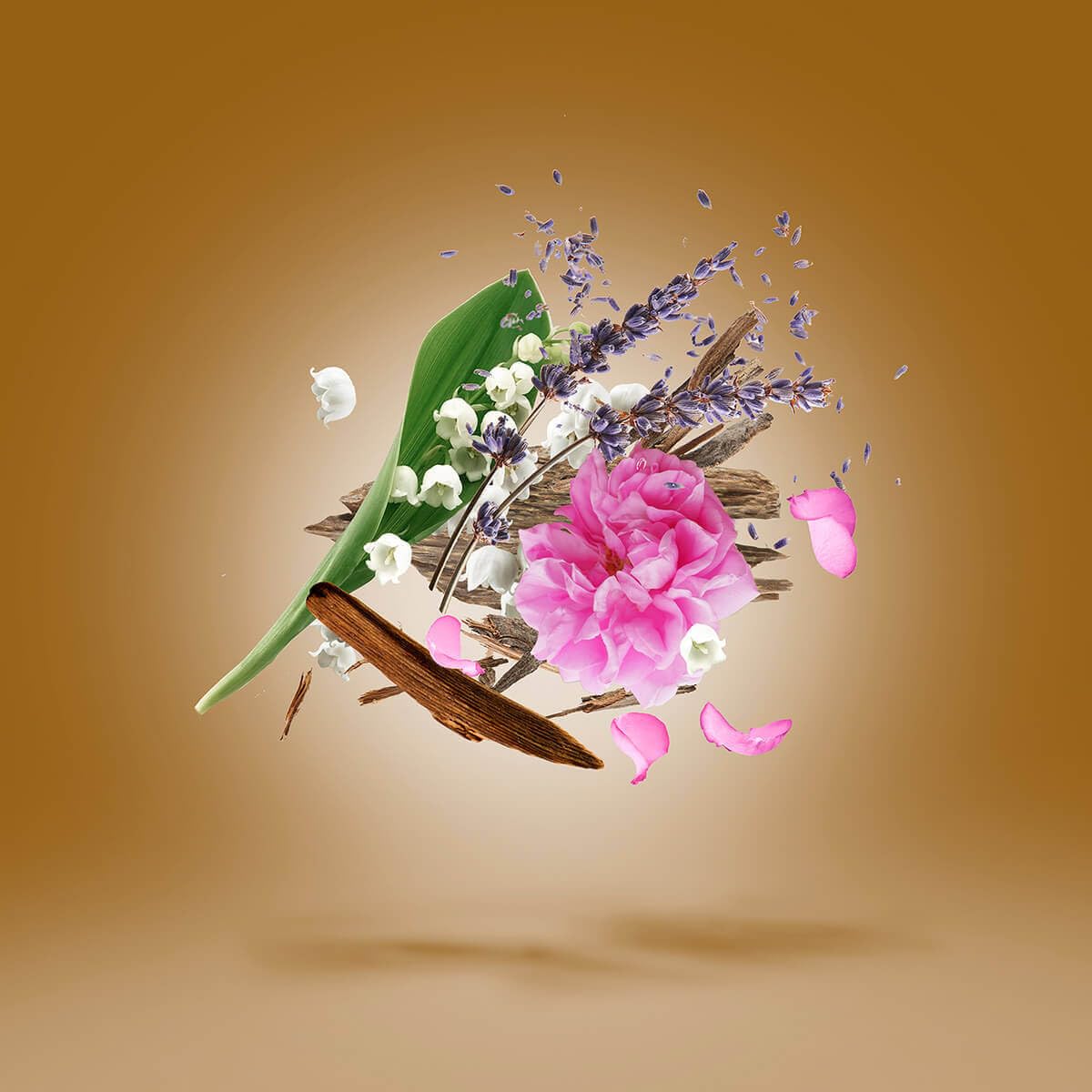 XERJOFF Alexandria II