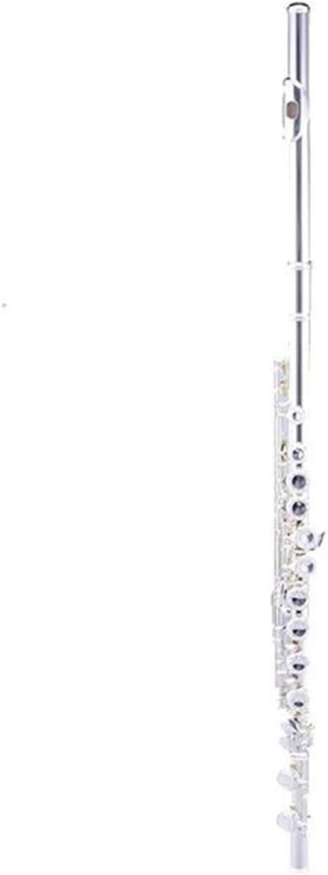 Flute Woodwind Instrument C Offset 16 Holes