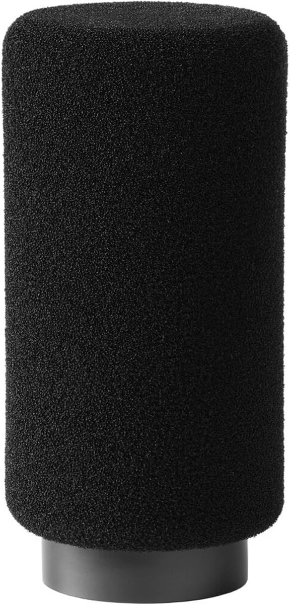 Earthworks ETHOS Condenser Broadcast Microphone - Black