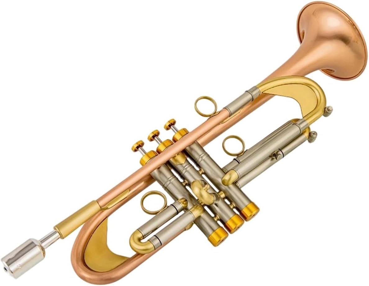 Trumpet Brass Set Bb Trumpet Phosphor Bronze Plated Professional Brass Instrument With Hard Case