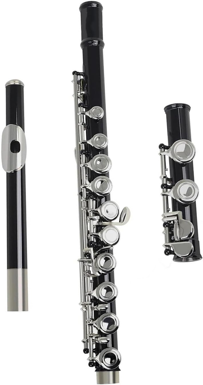 Professional Flute Instrument 16 Hole Closed C Key Professional Flute Woodwind Instrument Adult Beginner With Box(Black)