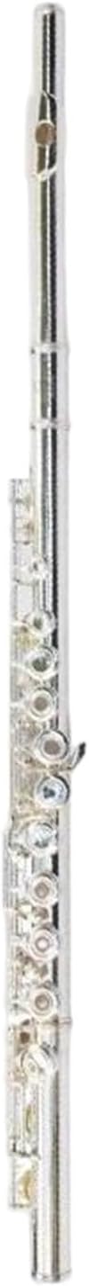 Adult Beginner Flute 16 Hole Flute In C Major A Professional Adult Musical Instrument