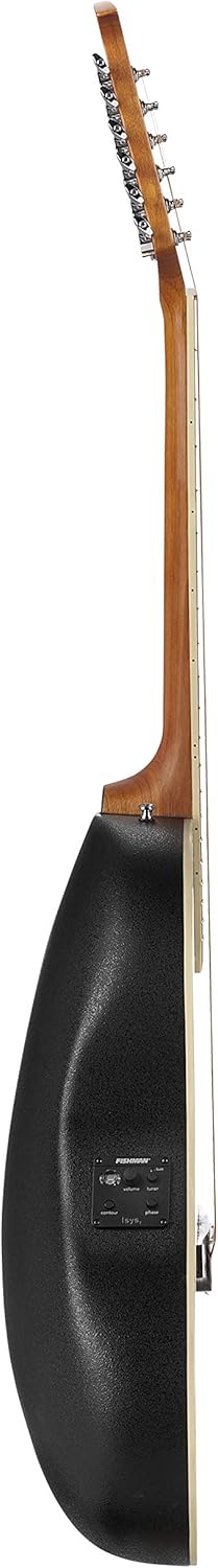 Applause by Ovation Standard AB2412II 12-String Mid Depth