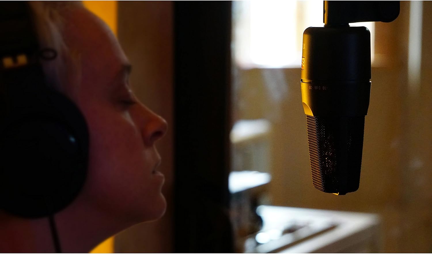 SE ELECTRONICS - X1 S Microphone with Reflection Filter X, Shockmount and Cable Pack