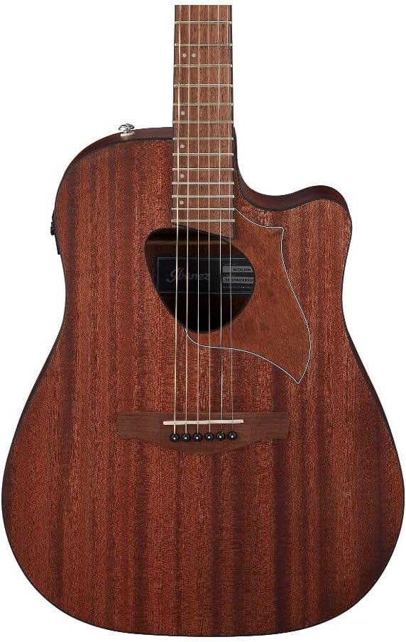 Ibanez ALT20 Altstar Acoustic-Electric Guitar (Open Pore Natural)