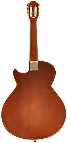 Hadean EA-100 NA Acoustic Electric Guitar
