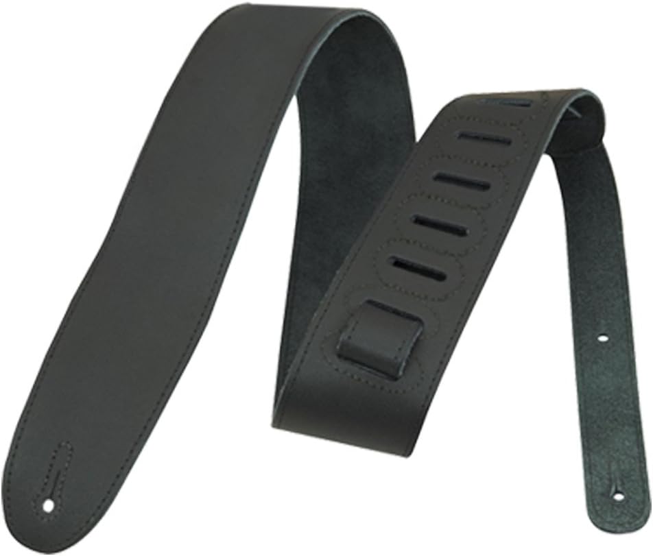 Paul Reed Smith Guitars ST24PT-Kit01 PRS SE Standard 24 Platinum Electric Guitar