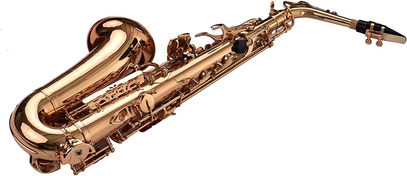 Sax Beginners Kit EB Alto Saxophone Brass Material Wind Instrument with Carry Case Gloves Cleaning Cloth Sax Straps Tuner Wind Instrument