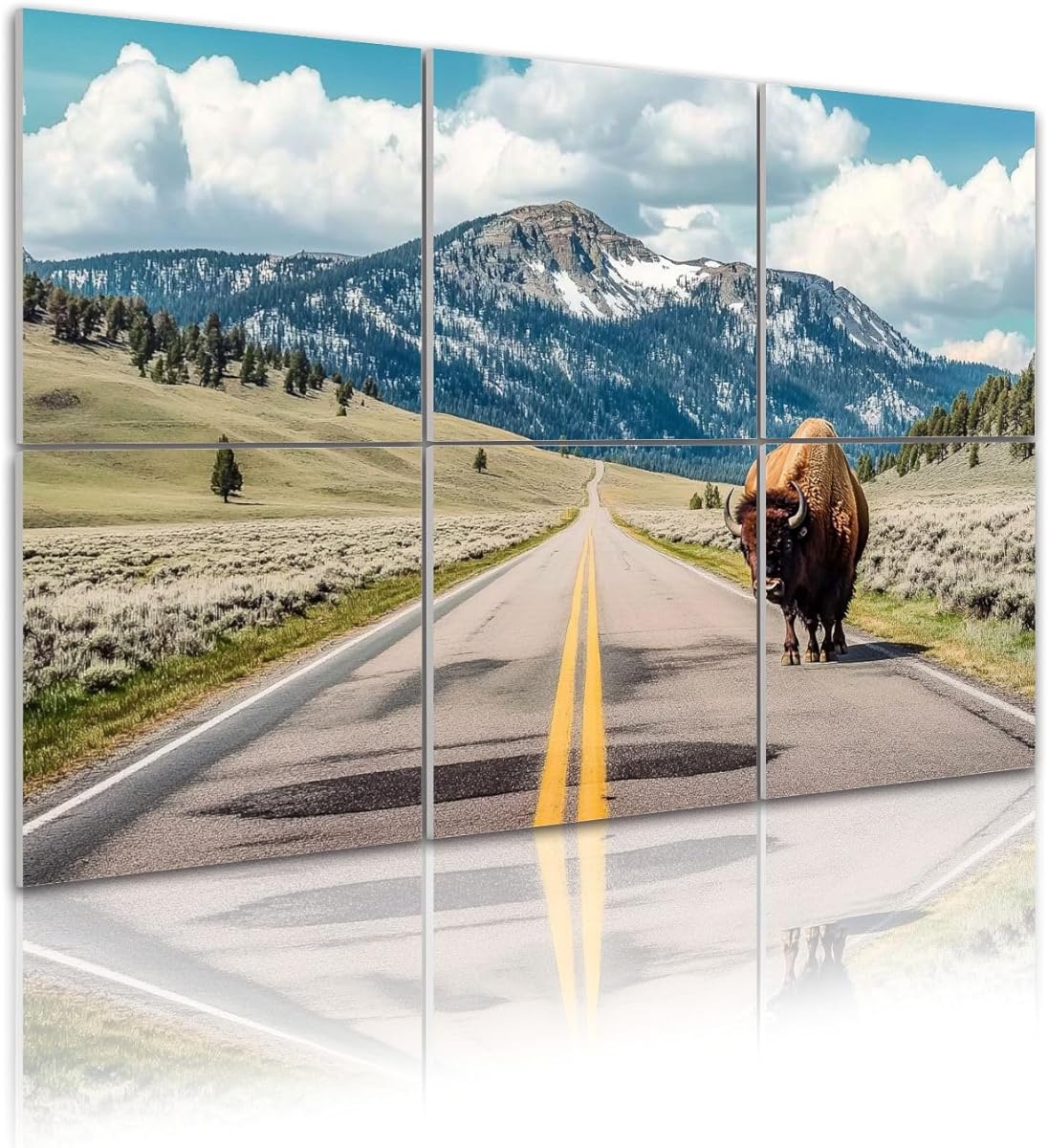 6 Pack Art Acoustic Panels Bison crossing Sound Absorbing Panel 48