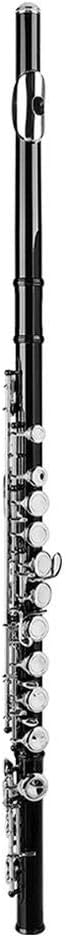 16 Holes Flute, accurate sound and pitch Wind instrument excellent airtightness 14.171.38inch for professional and beginner for kids and adult(black)
