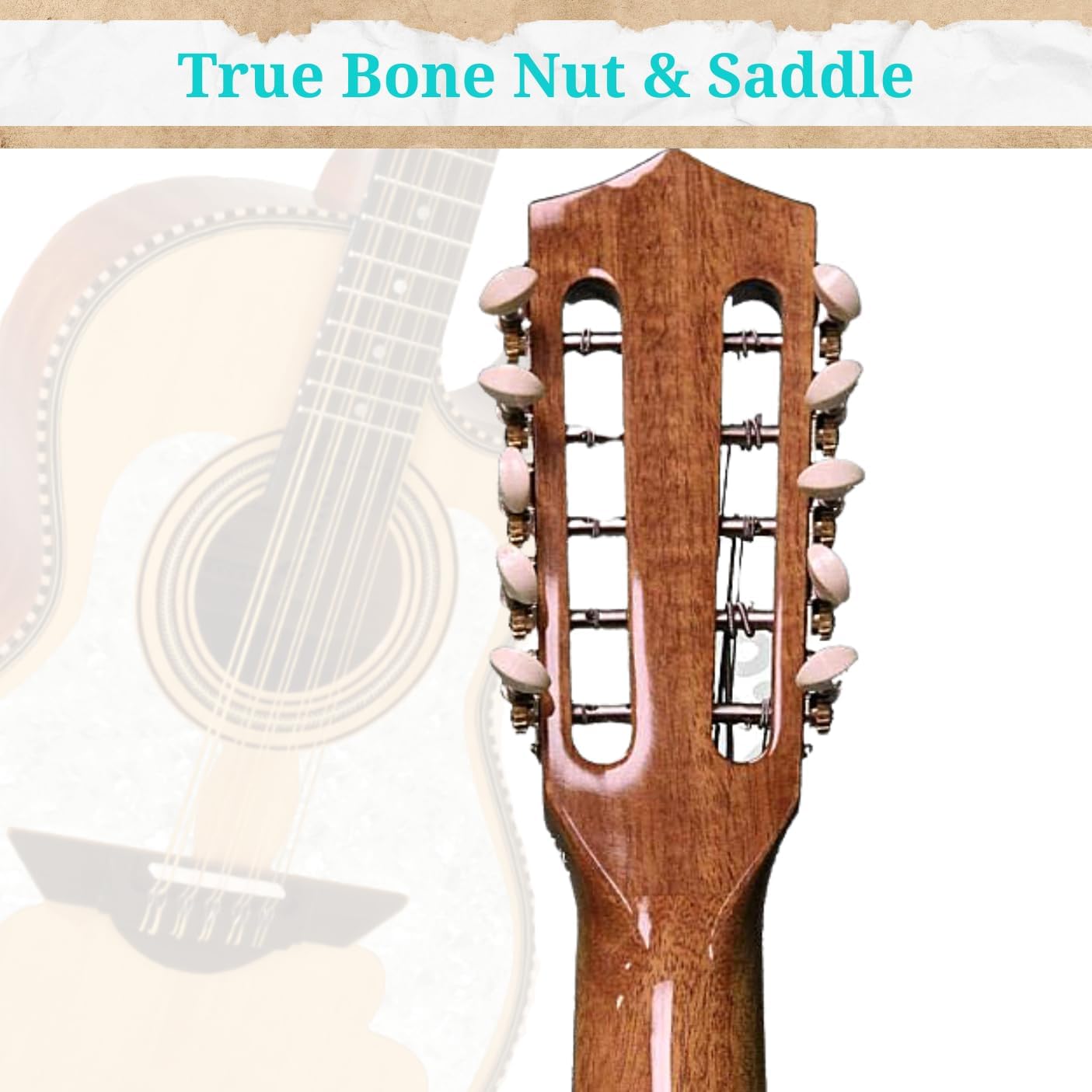 H. Jimenez, 10-String Bajo Quinto, White,Gold (LBQ3E)