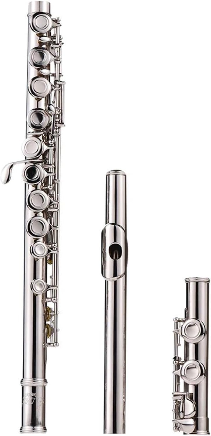 VBDEFRT Flute Nickel Plated 16 Holes C Key Cupronickel Woodwind Instrument Cloth Stick Gloves Padded Bag