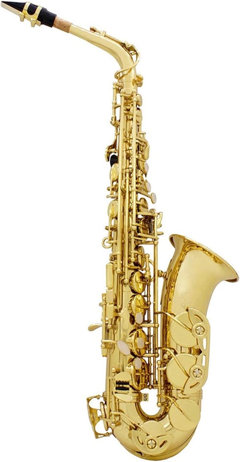 Gold Key Alto Saxophone Woodwind Instrument in E-Flat Key with Leather Case Accessories