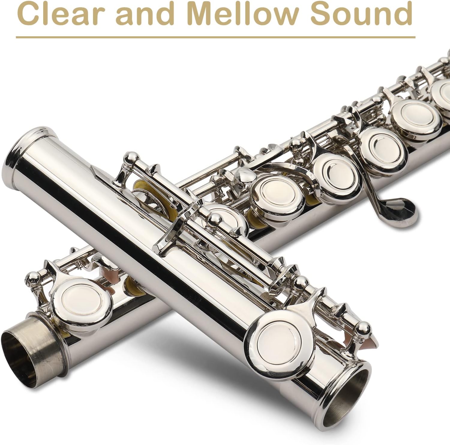 Ktaxon C Closed Hole Flute 16 Keys Flutes Kit for Students, Professionals & Beginner, Orchestra Musical Nickel Flute with Hard Case, Cleaning Rod, Cloth, Gloves (Silver)