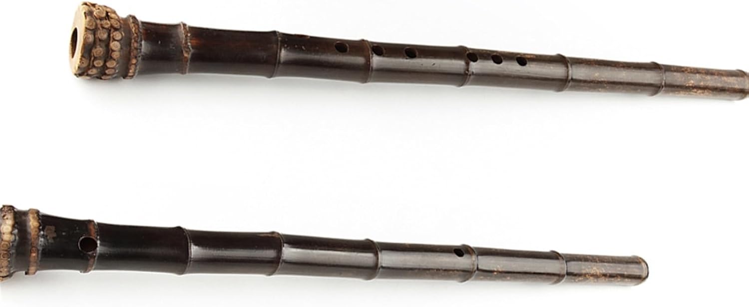 Flute Chinese Bamboo Flute Traditional Woodwind Musical Instrument Vertical Bambu Flauta In G/F Key Beginners Bamboo Flute (Color : F Key)