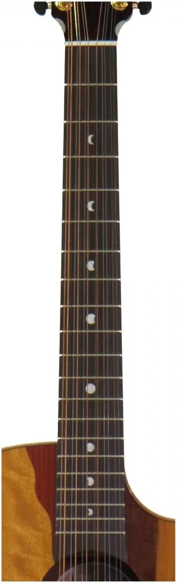 Luna Vista Eagle 12-String Cutaway Acoustic Electric Guitar with Case