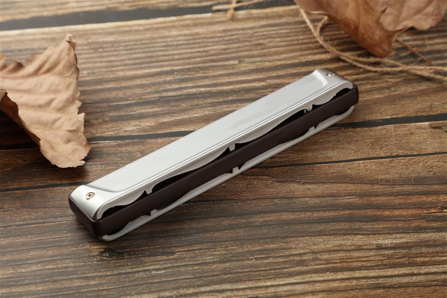 SUOFEILAIMU Professinal 2420 Tremolo Harmonica (Color : Lavender)