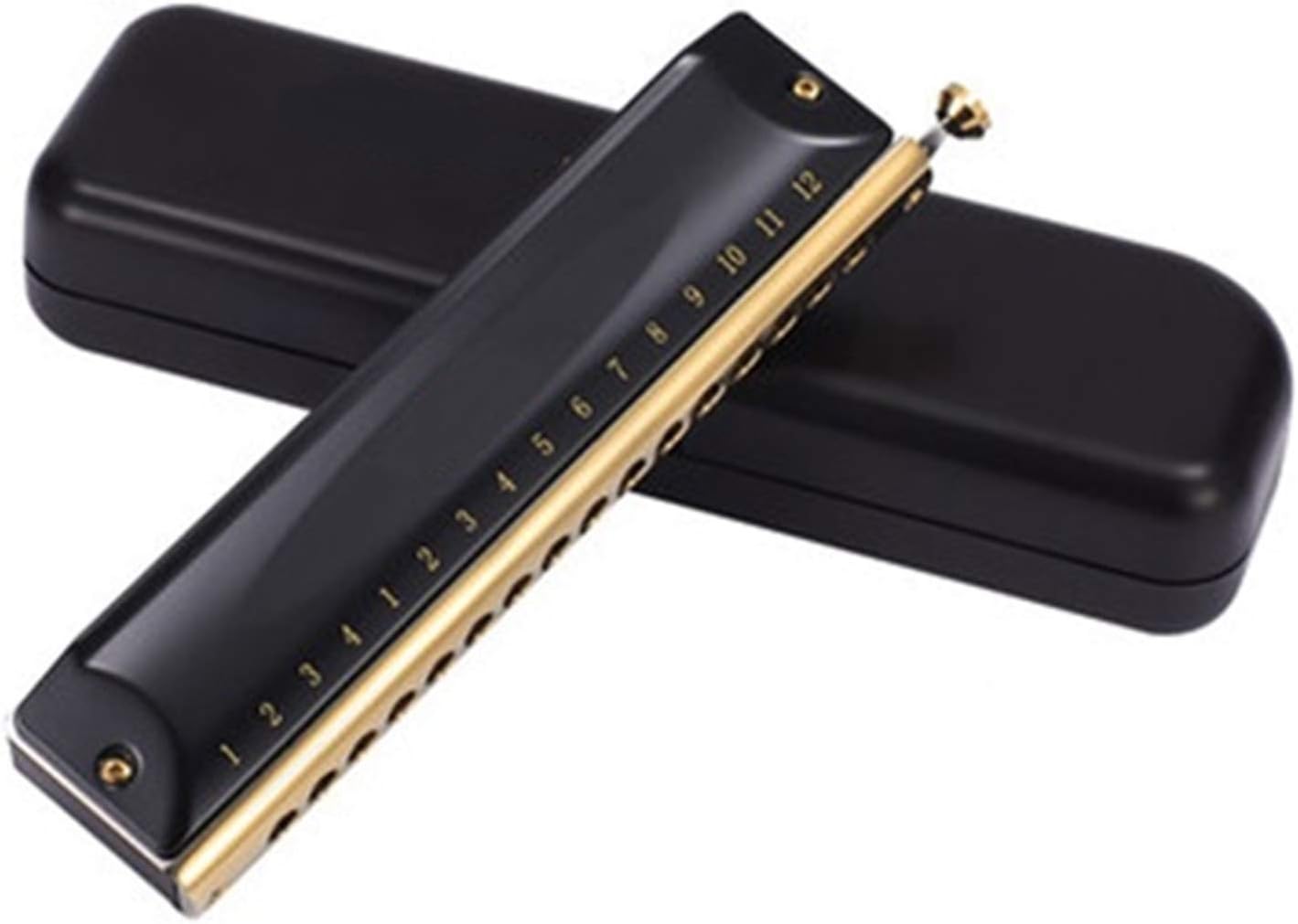 SUOFEILAIMU Chromatic Harmonica 12 Holes Harp Mouth Organ Key C ABS Comb Phosphor Bronze Reeds Professional Musical Instruments (Color : Black GH1664GZM)