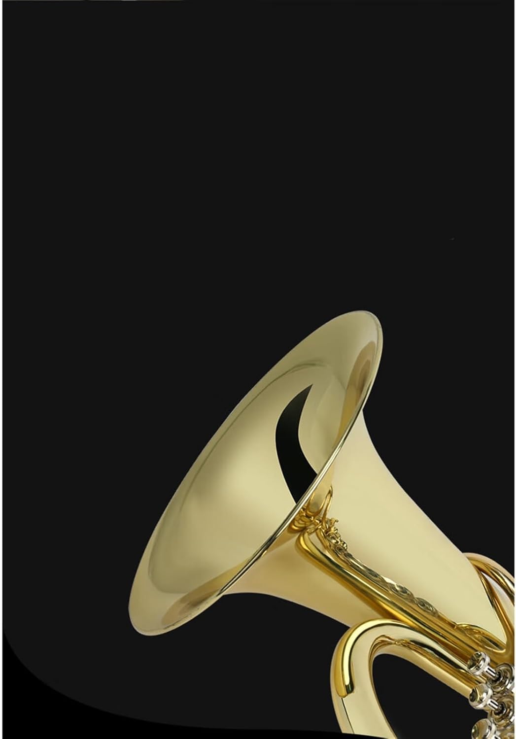 Beginner euphonium Euphonium With Box Brass B Flat Tune