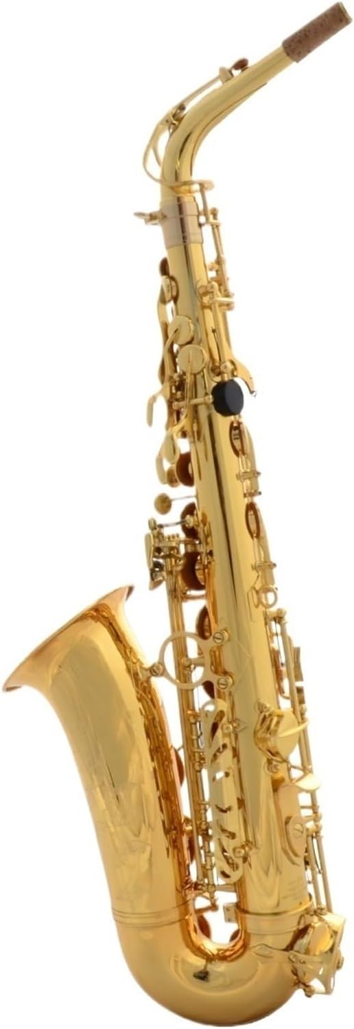 Saxophone for Beginners Woodwind Instrument Professional Alto E Flat with Saxophone Suitable for Beginners and Adults