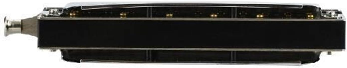 SUOFEILAIMU Harmonica 10 Hole 40 Tone Chromatic Harp Woodwind Musical Instrument Mouth Organ Blues Send Bag