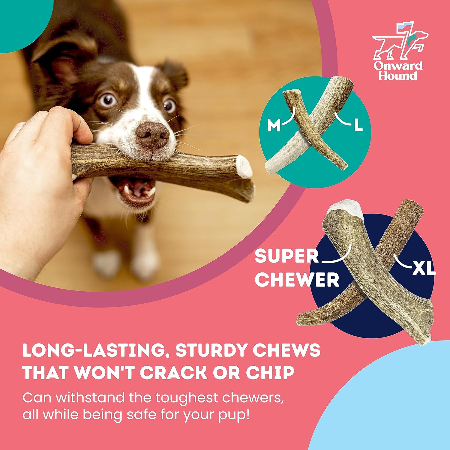 Onward Hound Elk Antlers for Dogs, 7