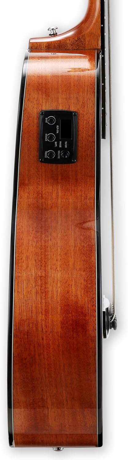 TARIO 5 String Electric Acoustic Bass Spruce Top Mahogany Neck Mahogany Back and Sides