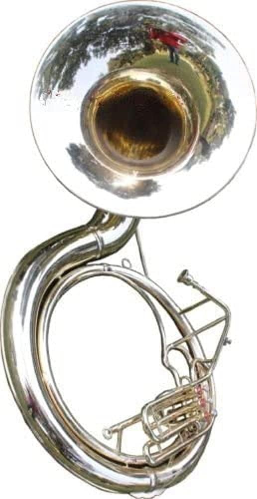 Nautical Mart Sousaphone | Full Brass | BB Key | Includes Mouthpiece & Case | Affordable & Fun for Beginners | Gold, Yellow Finishes Musical Instrument