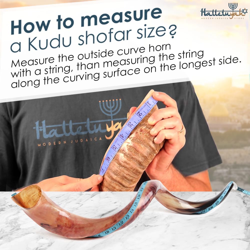 HalleluYAH Original Kosher Fully-Polished Kudu Shofar 35