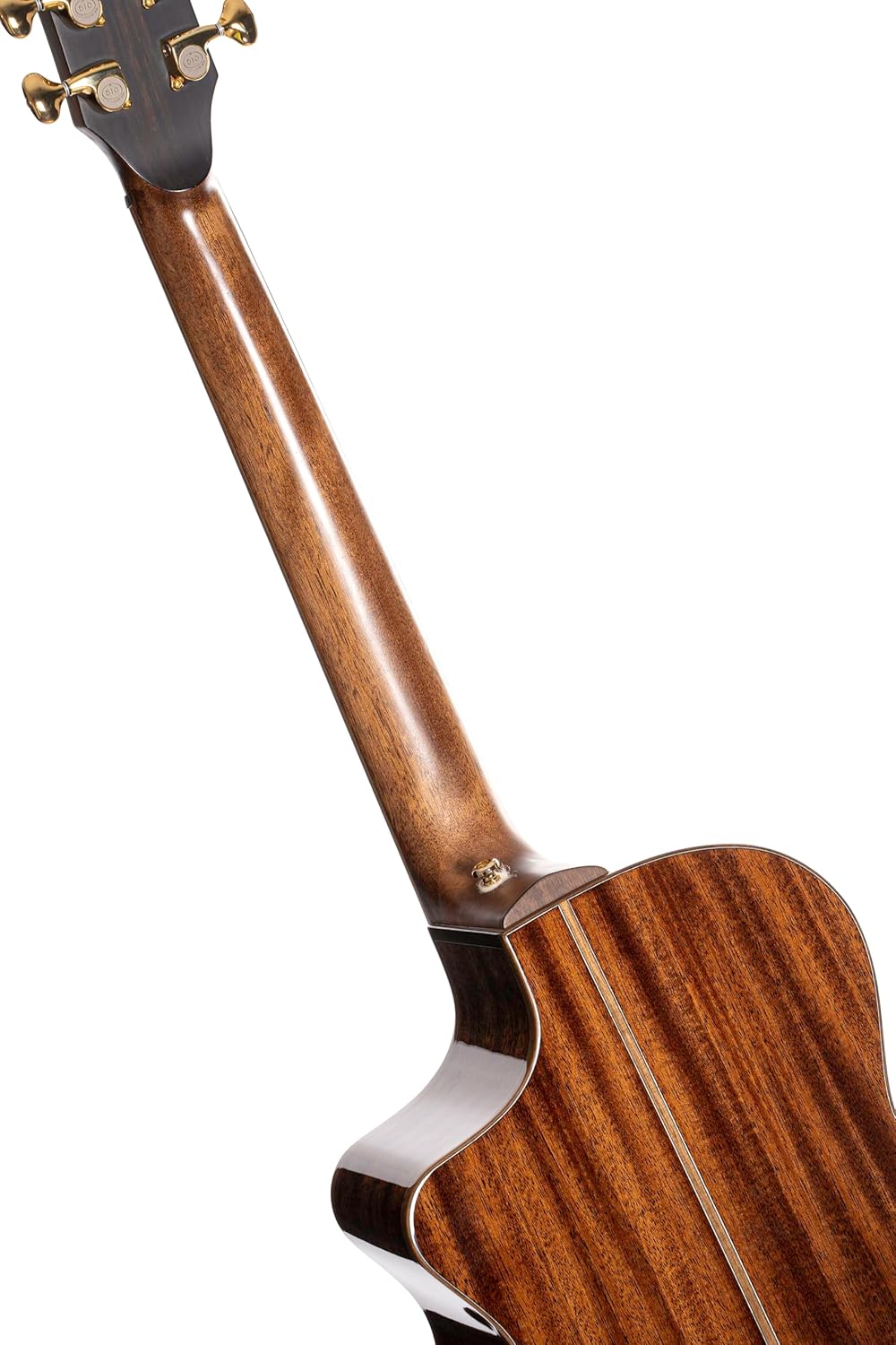 Cort Masterpiece Series Modern Black A/E Guitar With Case