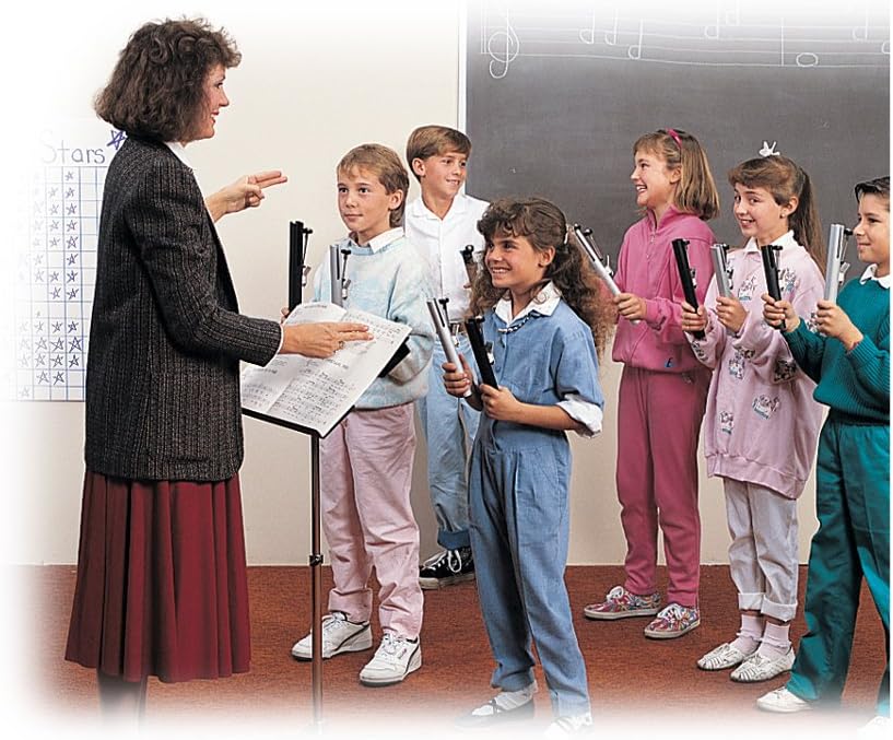 Suzuki Musical Instrument HB-250 Tone Chime 2 Octave Set with Case