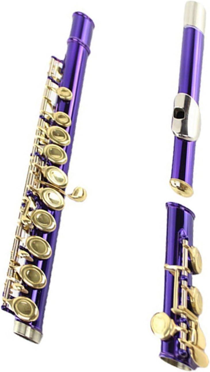 Wind Instrument Color Flute 16 Closed Hole C B Tail E Peach Purple Lacquer Gold Key