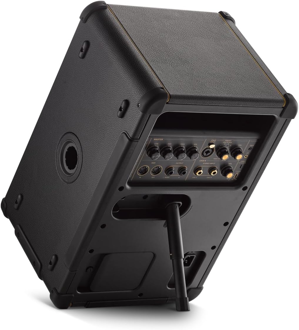 Positive Grid Spark Live Smart Guitar Amp, Multi-Channel PA System & Bluetooth Speaker All-in-One for Guitar, Bass, Vocals, Keyboards and More.