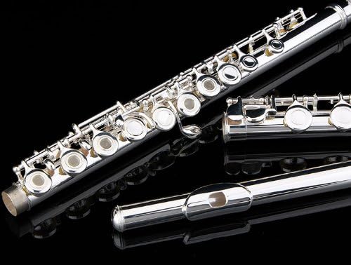 Glory Silver Plated Intermediate 16 Keys Open/Closed Hole C Flute