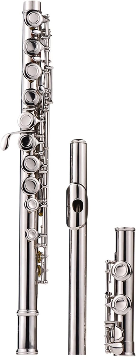 TSTS Flutes Musical Instrument Silver Plated 16 Holes C Key Flute Cupronickel Woodwind Instrument with Cleaning Cloth Stick Gloves