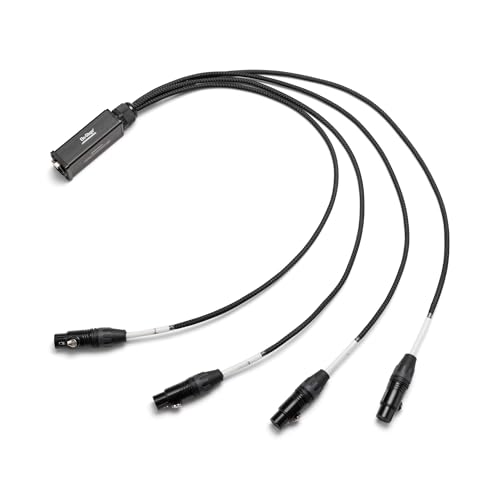 OnStage SNK4CF 4-Channel XLR Female Snake Cable –Consolidates Audio & DMX via RJ45 Ethernet, Balanced Analog&Digital Signal Support, Gold-Plated Connectors, Braided Jackets, Phantom Power Compatible