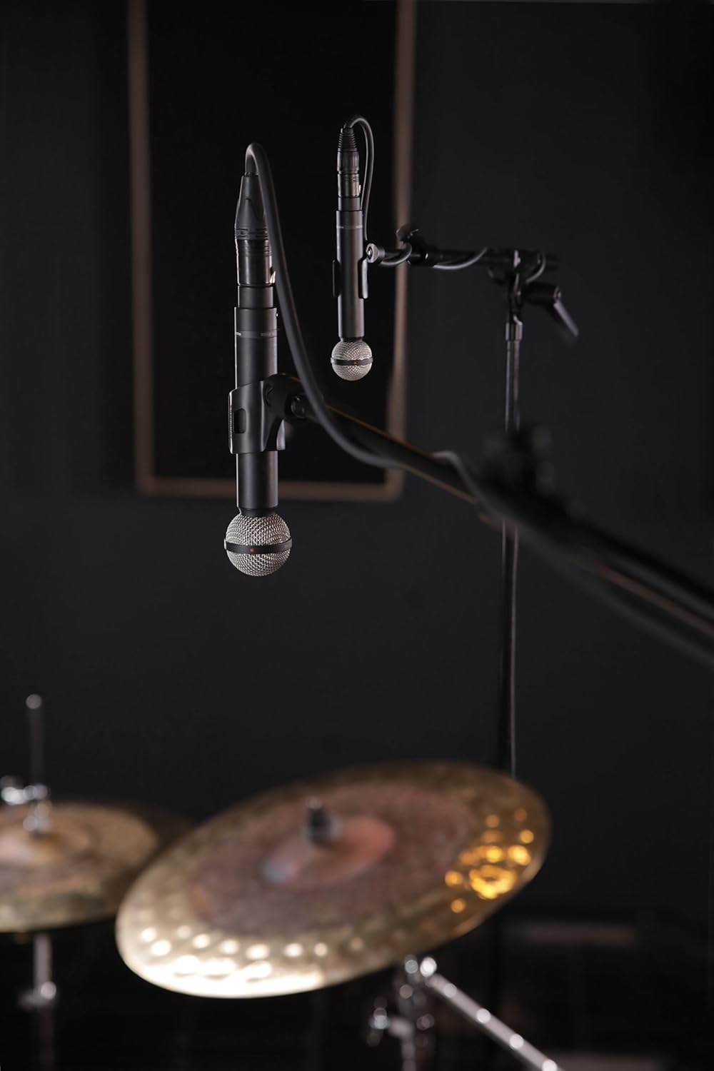 Beyerdynamic M 160 Double Ribbon Microphone