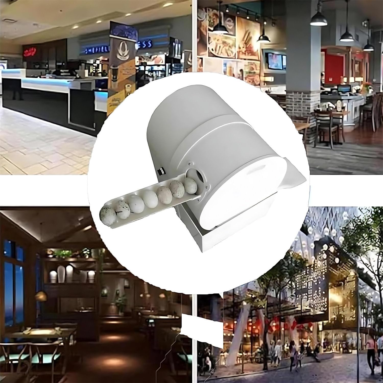 Automatic Egg Washer, Commercial Egg Cleaner System, 2,300 Eggs/H Chicken Duck Goose Egg Brushing Machine, Compact Egg Cleaning Brush Machine Tool