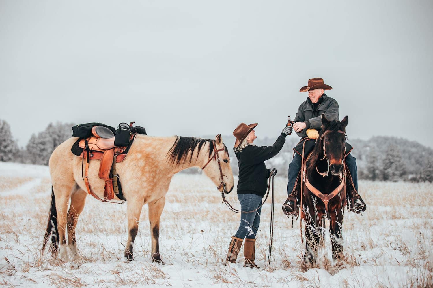 TrailMax Large Horn Saddle Bags; Horn Saddle Bags for Horses; Trail Riding Saddle Bags for Western & Endurance Saddles; Double-Stitched, 600-Denier Poly Saddle Bags