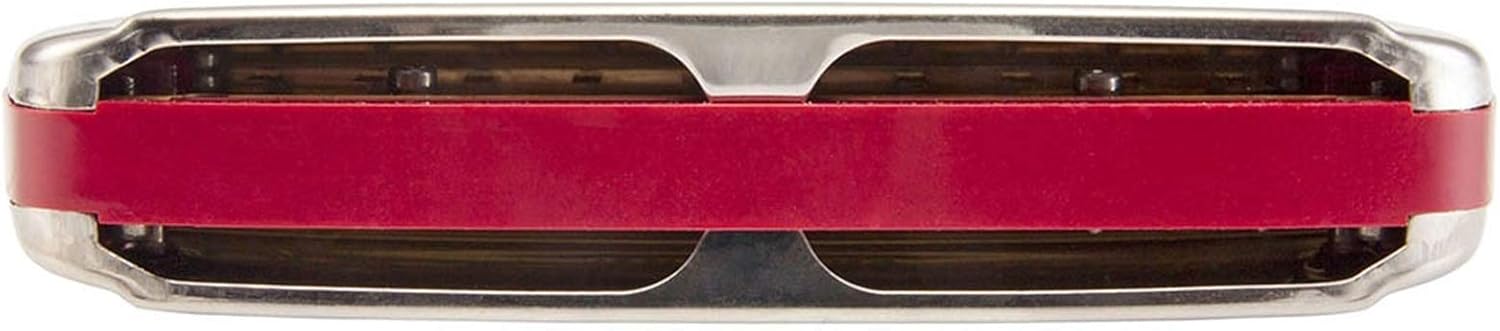 Harmonica Diatonic Harmonica 10 Hole Blues Harp Mouth Organ Instrumento ABS Comb Key C Musical Instrument (Color : Silver Key B)