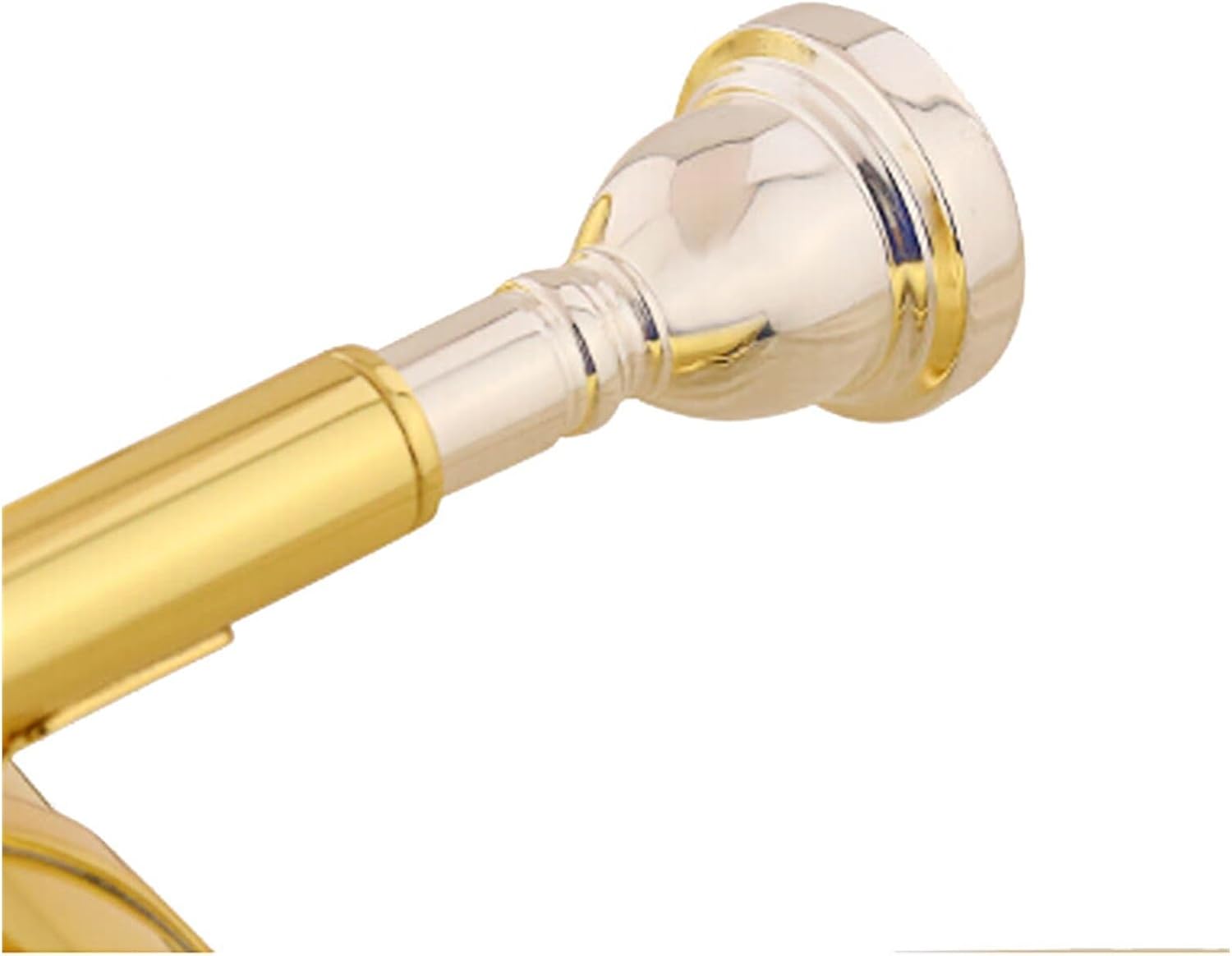 Euphonium in B flat Instrument Suitable for Beginners