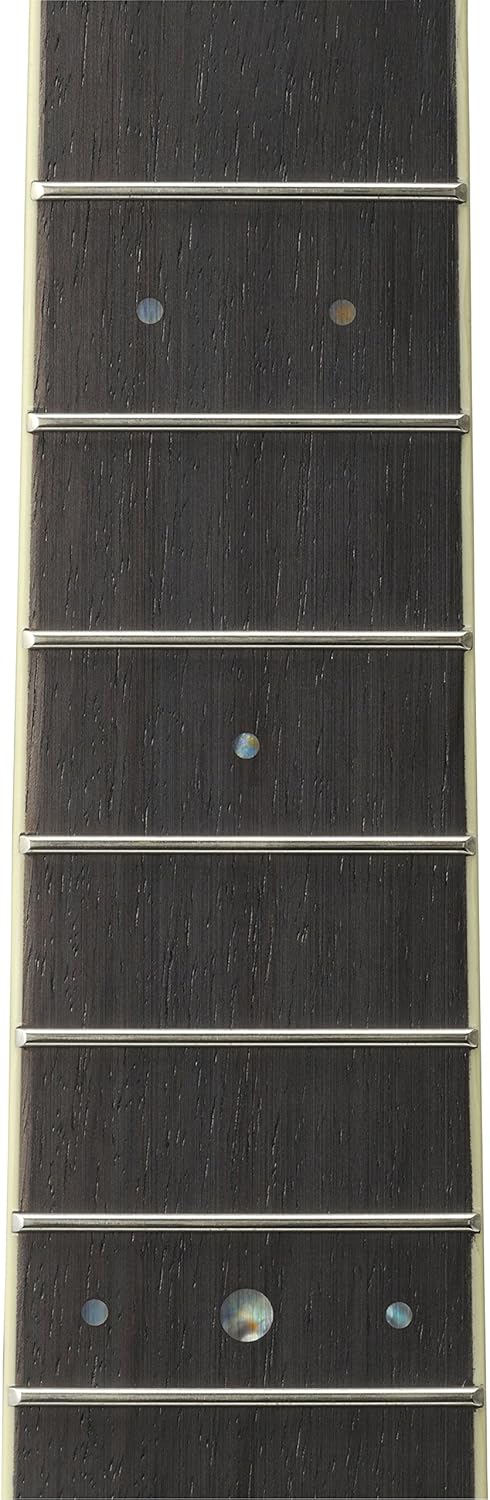 Yamaha L-Series LS6 Concert Size Acoustic-Electric Guitar - Rosewood, Natural